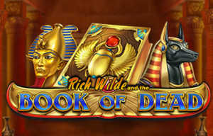 Book of Dead slot machine